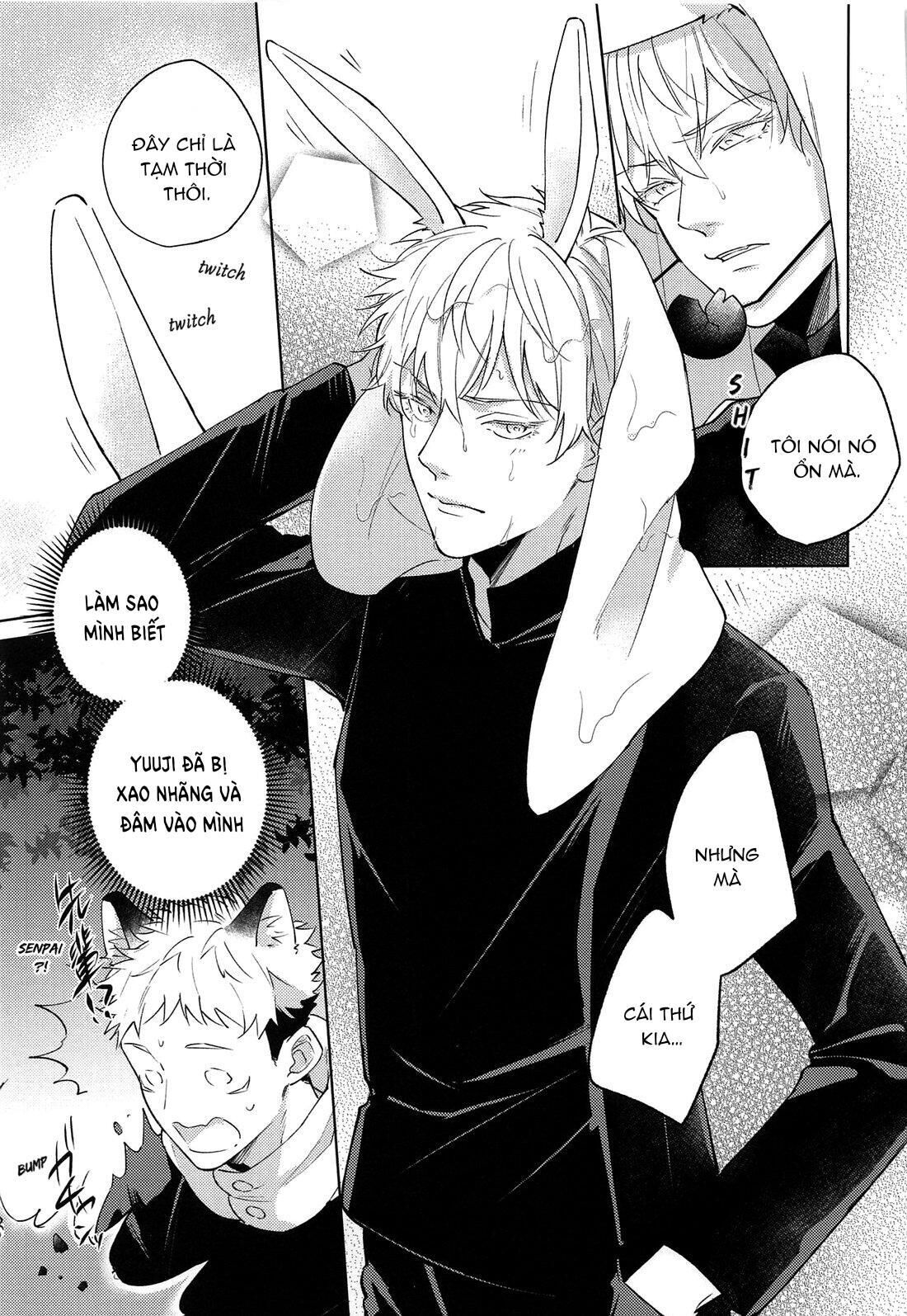 doujinshi tổng hợp Chapter 11 Gojo x Yuuji - Next Chapter 12