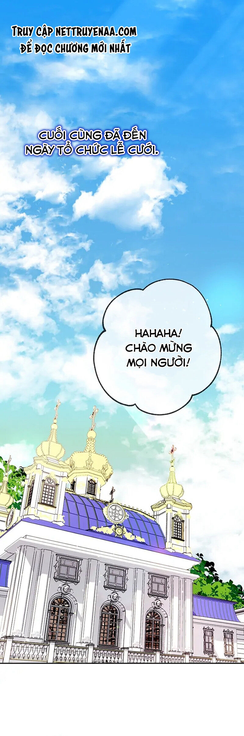 Cây Cúc Tây Thân Yêu Của Tôi Chapter 51 - Trang 2