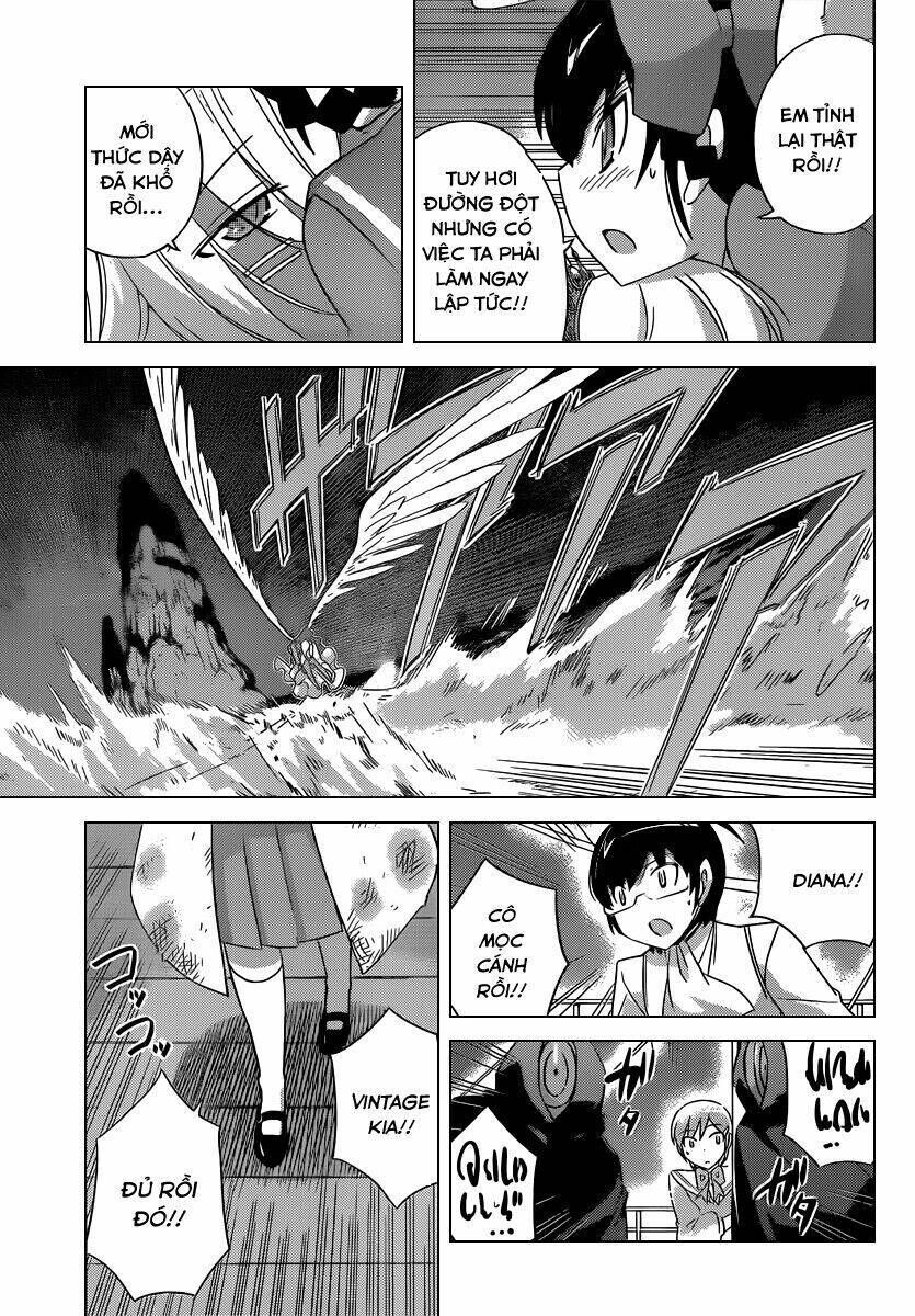 The World God Only Knows - Kami nomi zo Shiru Sekai Chapter 187 - Trang 1