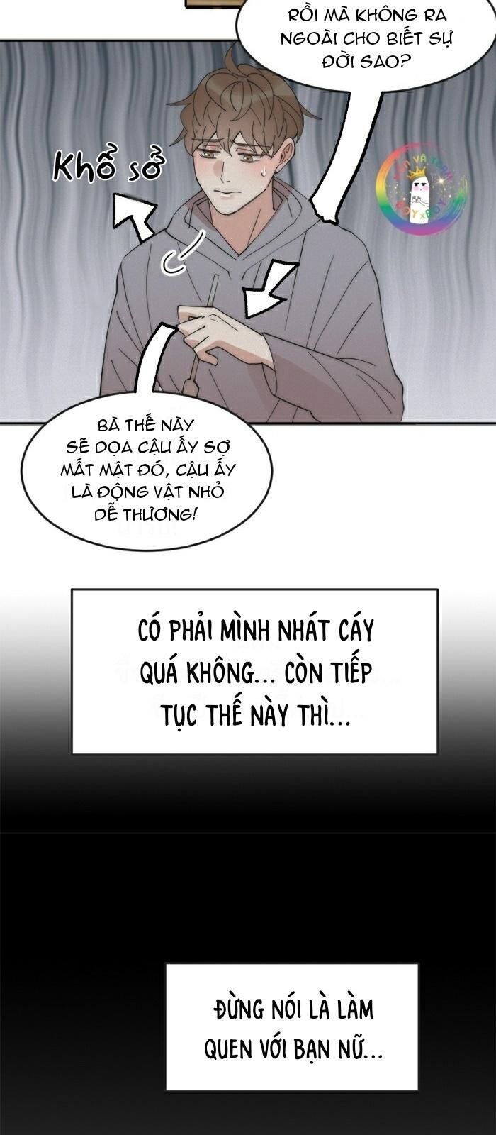 Đàn Anh Sói Ca Cùng Phòng Của Tôi Chapter 12 - Next Chapter 13