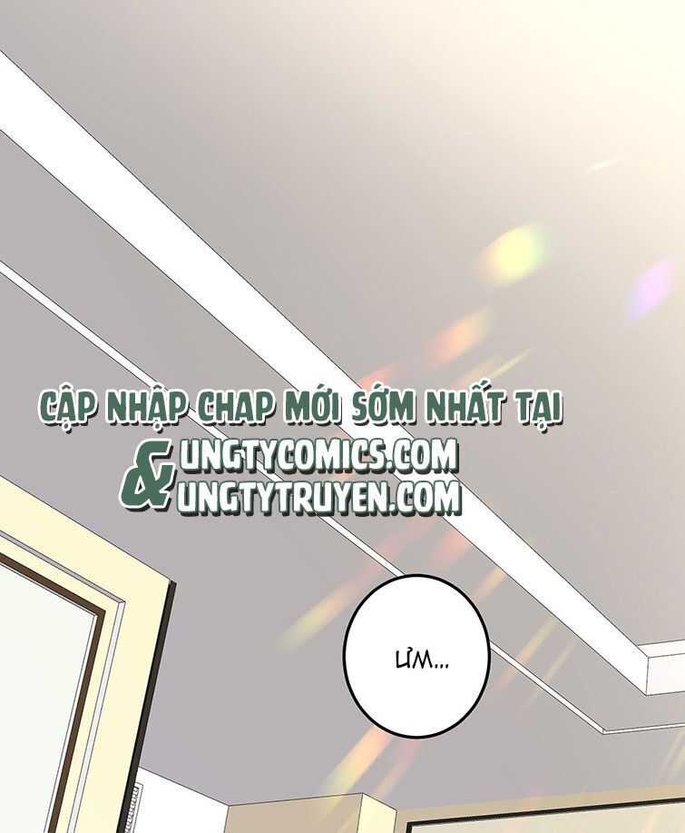 Tổng Tài Định Chế Tư Nhân Chapter 1 - Trang 2