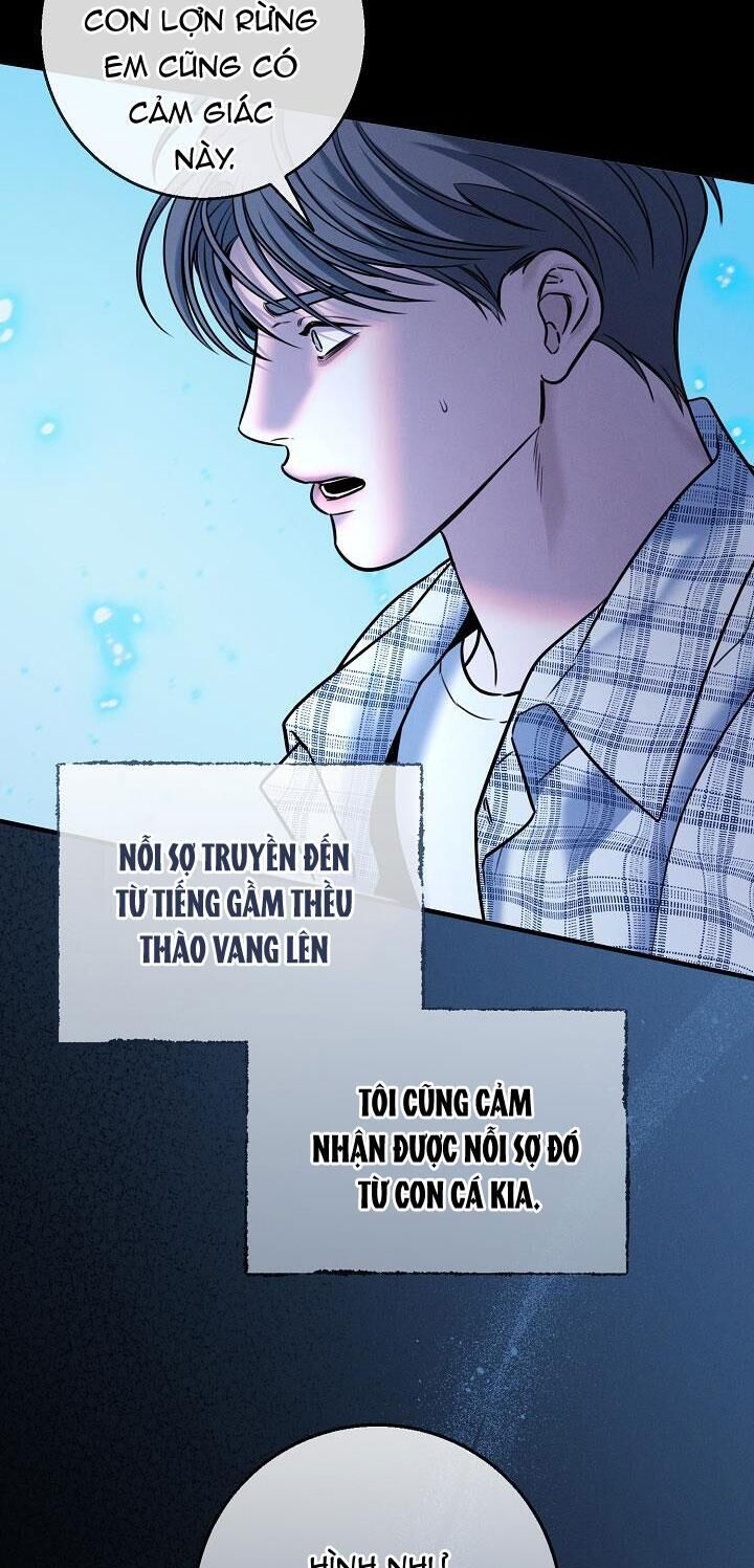 đêm không dấu vết Chapter 31 - Trang 1