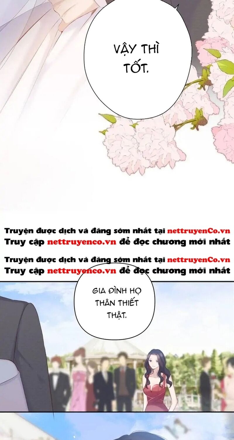 bảo vệ siêu sao của tôi Chapter 141 - Trang 2