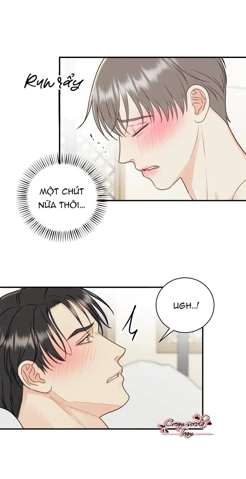 hạnh phúc trọn vẹn Chapter 37 - Next 38