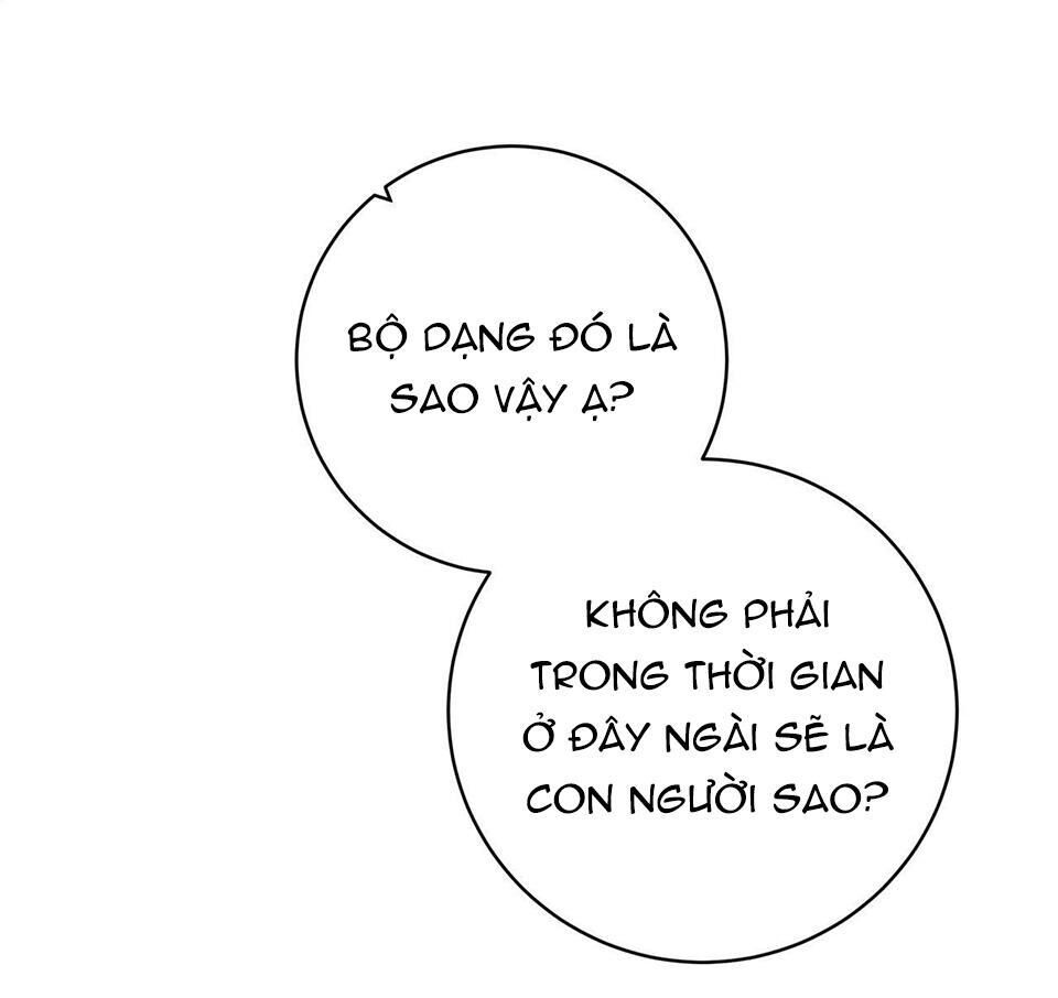 cơn mưa rào mùa hạ Chapter 29 - Trang 1