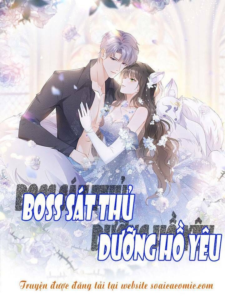 boss sát thủ dưỡng hồ yêu chapter 54 - Trang 2