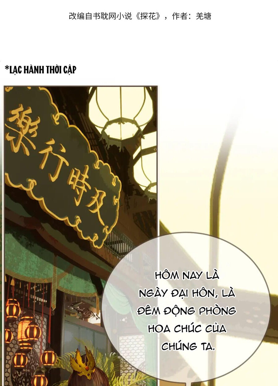 Á Nô 2: Thám Hoa Chapter 7 - Next Chapter 8