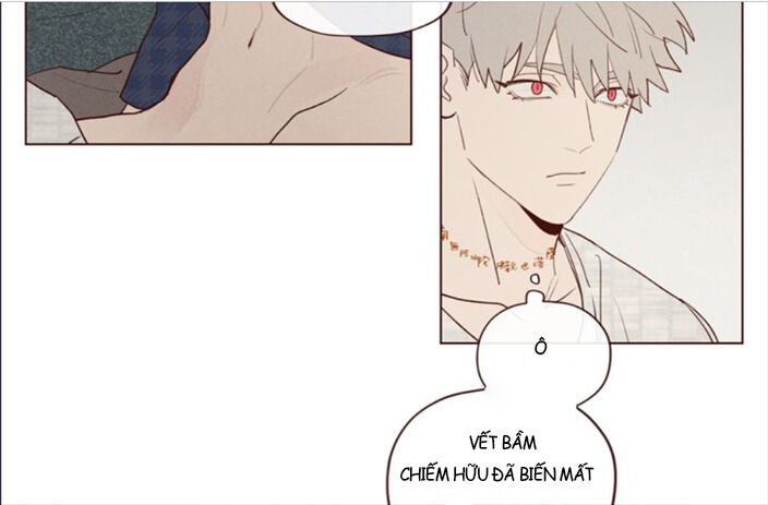 Vận Mệnh Không Mắc Sai Lầm Chapter 17 - Next Chapter 18