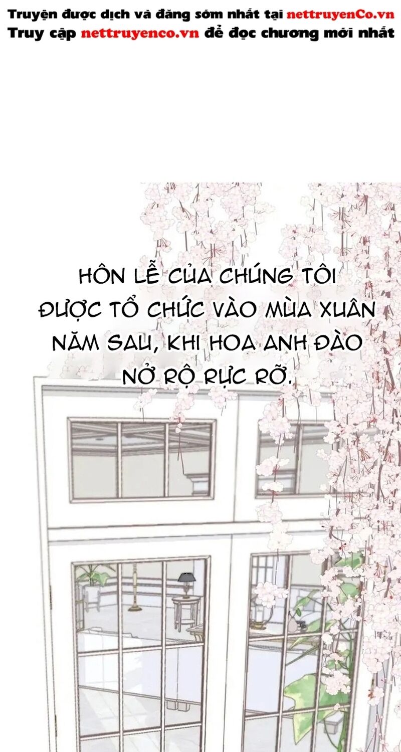 bảo vệ siêu sao của tôi Chapter 141 - Trang 2