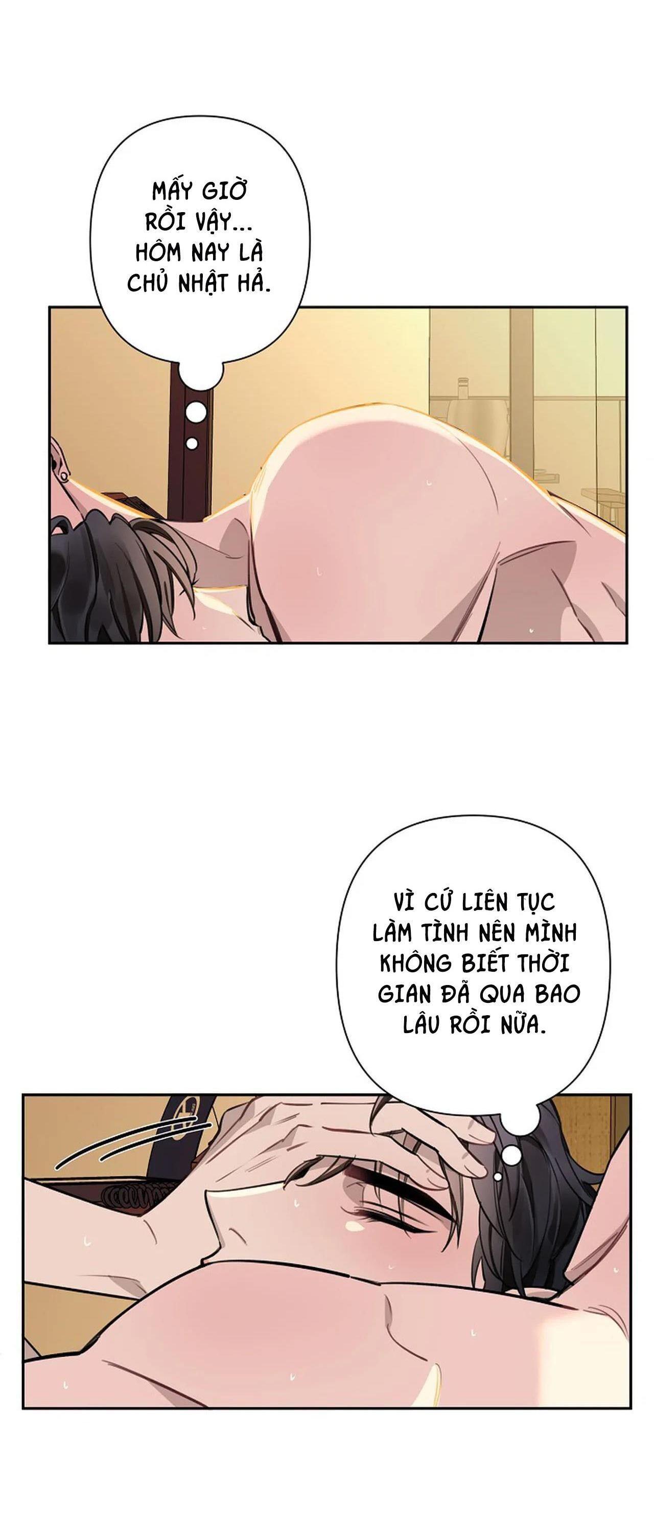 đêm dịu dàng Chapter 52 - Next Chapter 53