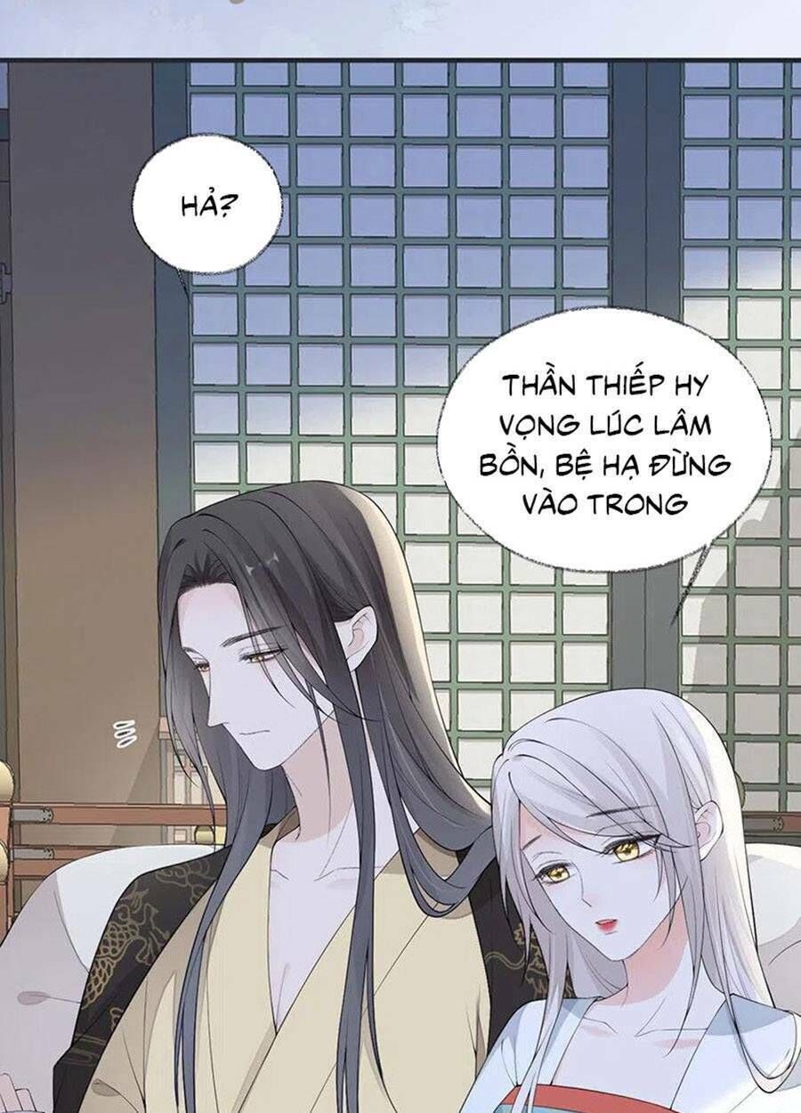 thái hậu quân hạ thần chapter 174 - Next chapter 175