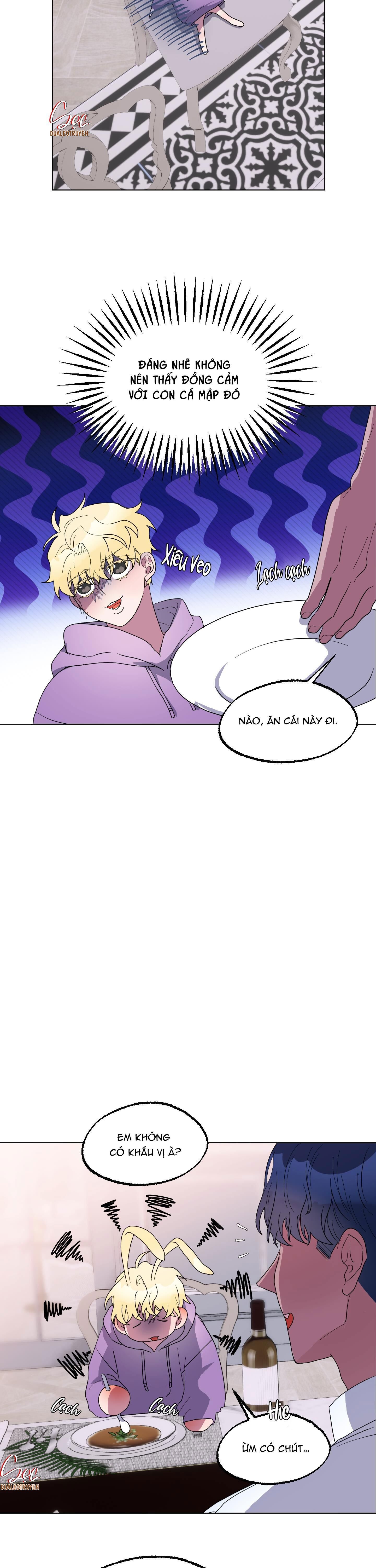 cá mập và cô dâu thỏ Chapter 15 - Trang 1