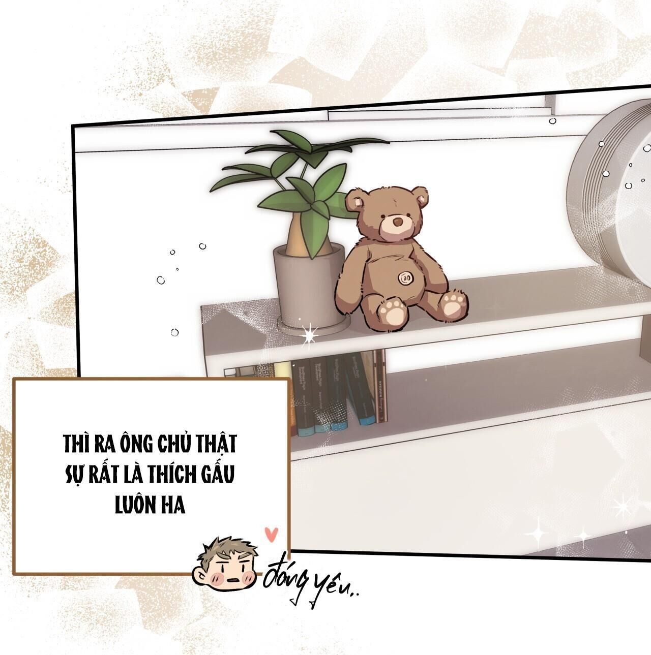 honey bear Chapter 14 - Trang 1