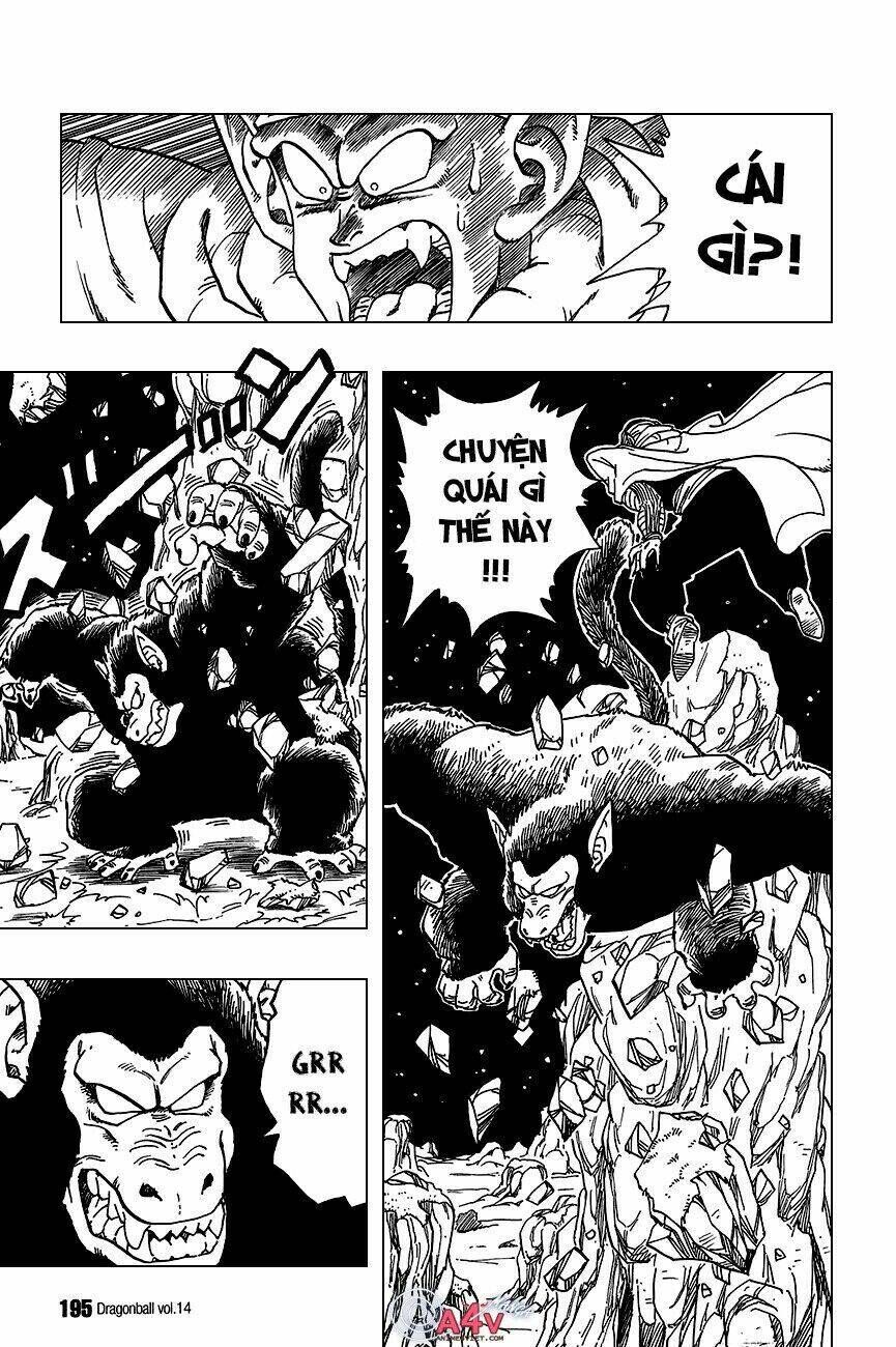 Dragon Ball - Bảy Viên Ngọc Rồng Chapter 208 - Next Chapter 209