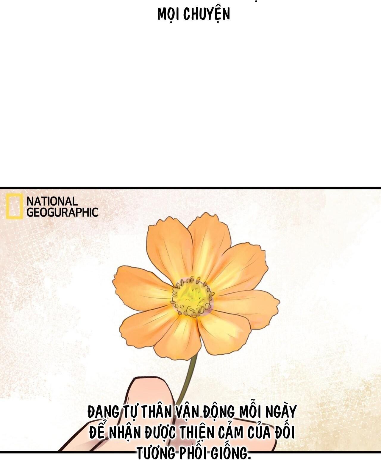 honey bear Chapter 31 - Trang 1