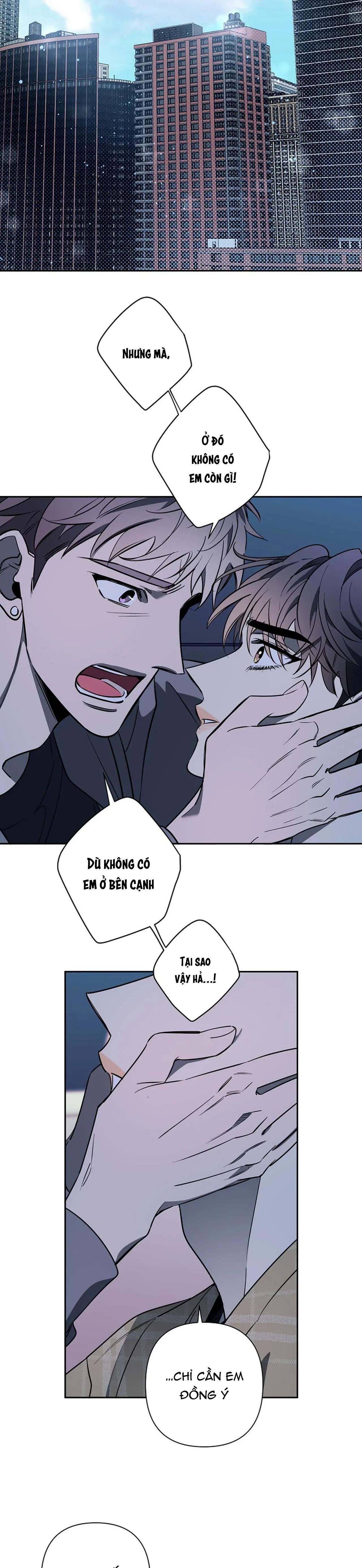 đêm dịu dàng Chapter 80 END - Trang 2