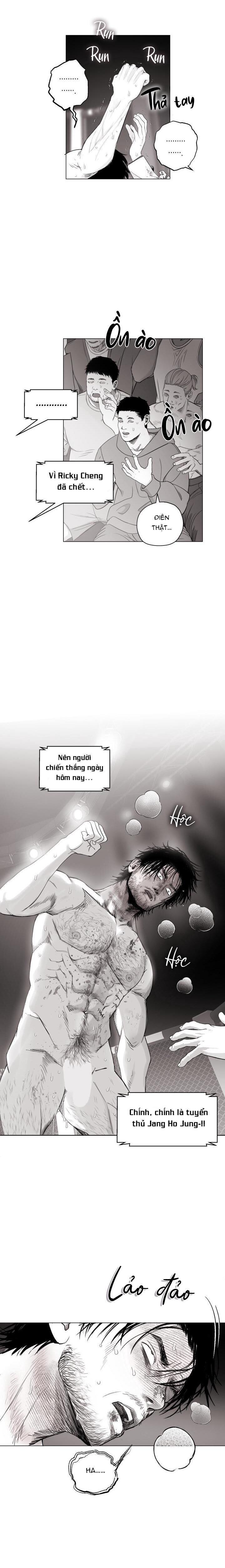 nhà vô địch ngoan cường Chapter 11 - Next Chapter 11