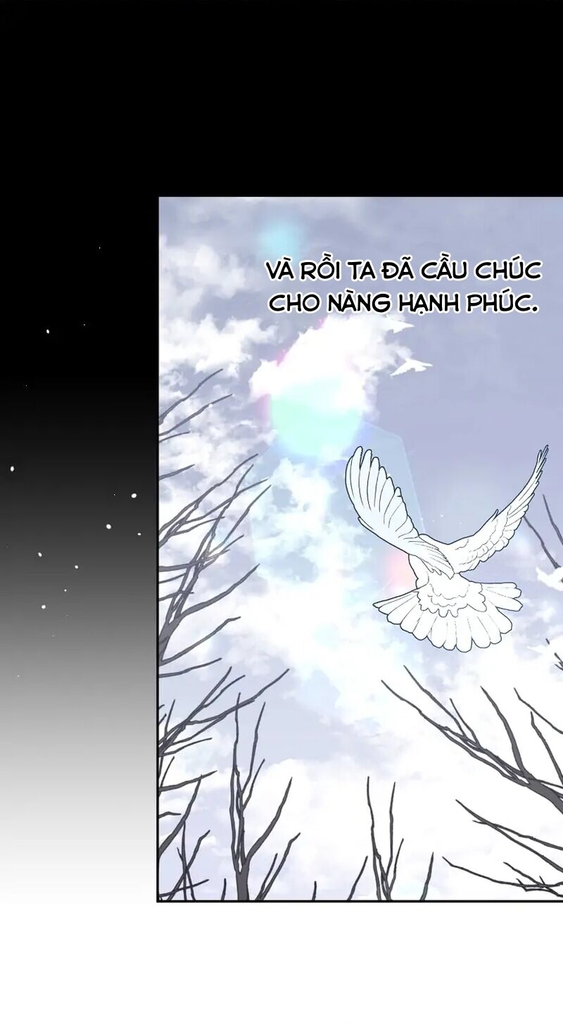 Cây Cúc Tây Thân Yêu Của Tôi Chapter 39 - Trang 2