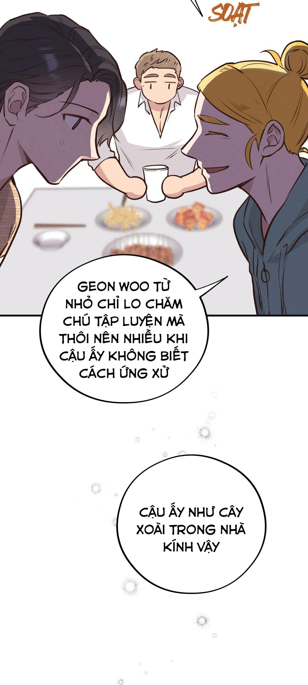 mật gấu Chapter 22 - Next Chương 23