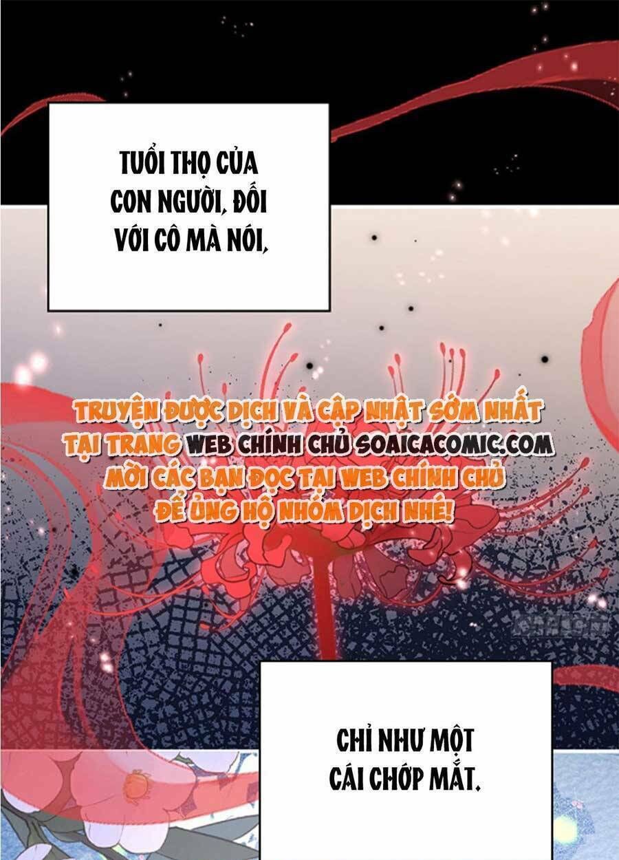 thê chủ, thỉnh hưởng dụng chapter 65 - Next chapter 66