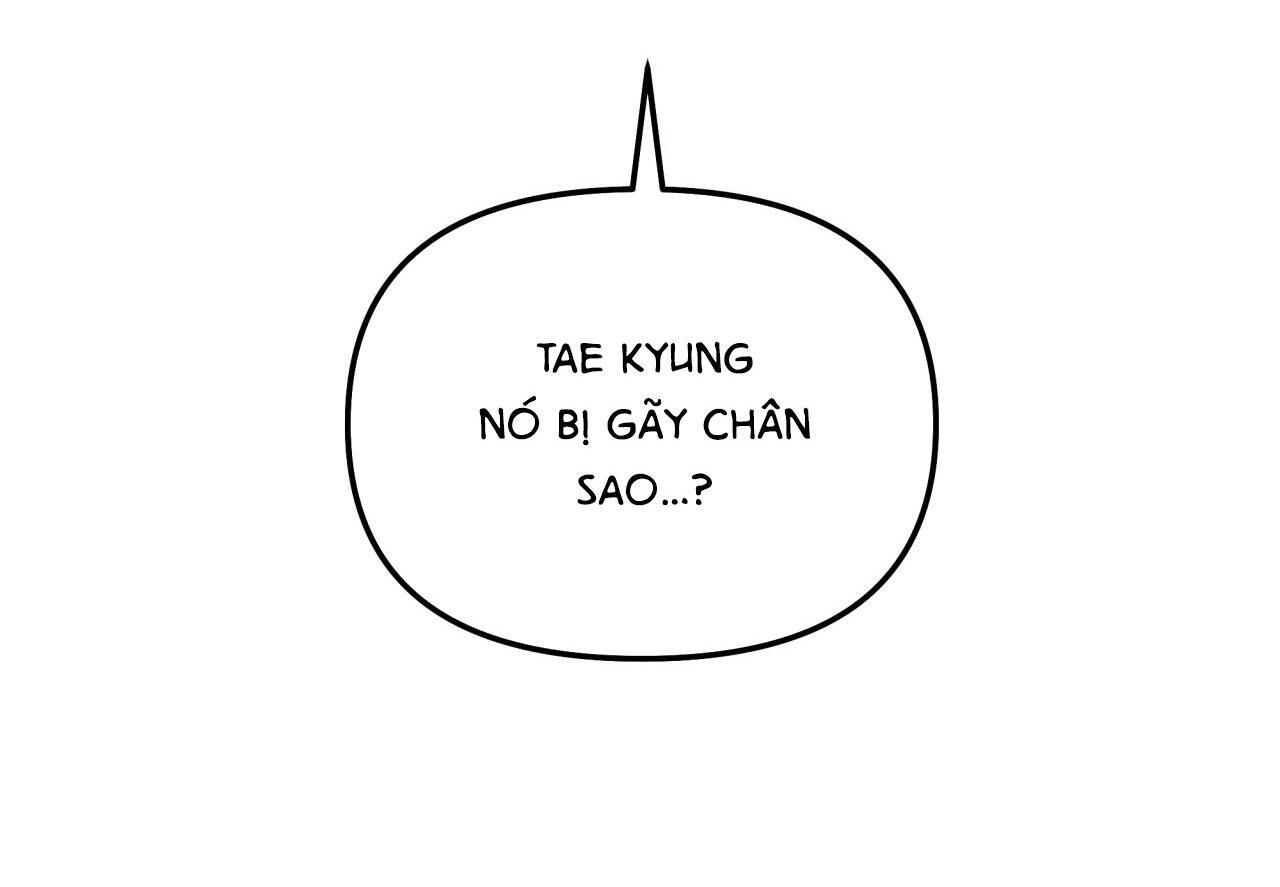 (CBunu) Cây Không Có Rễ Chapter 27 - Trang 1