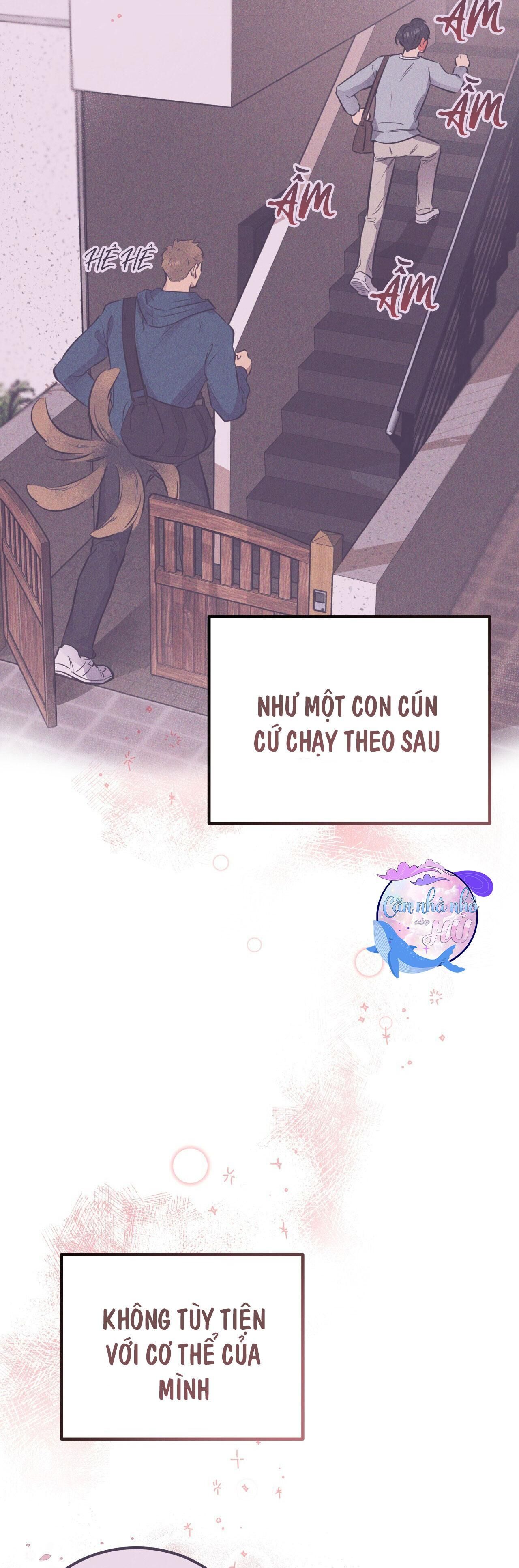 mật gấu Chapter 24 - Trang 2