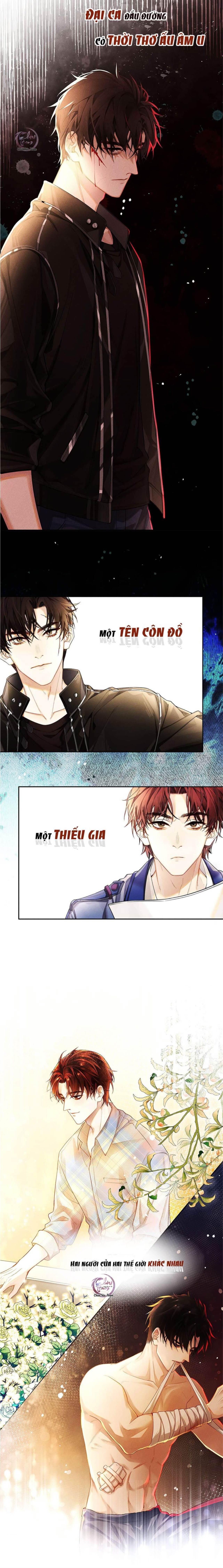 không làm trai bao! Chapter 0 - Trang 1