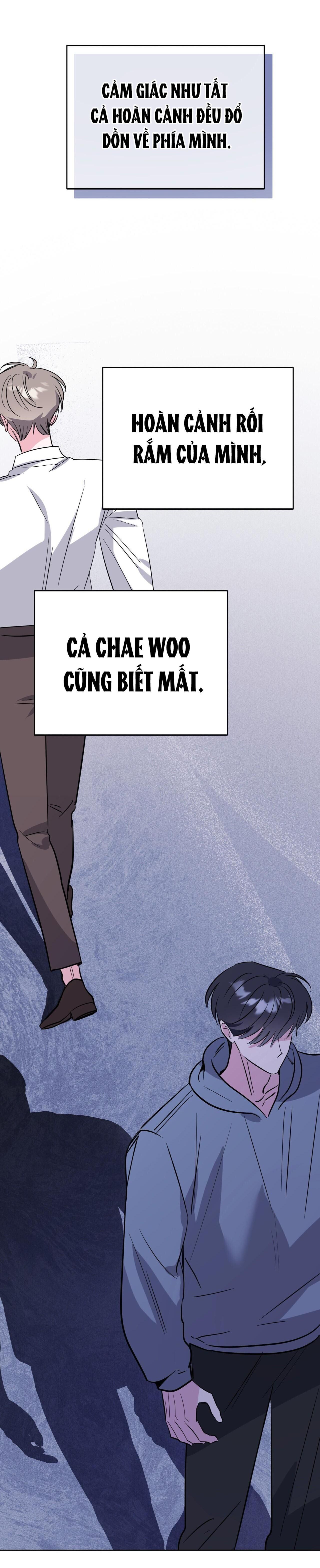 CẠM BẪY ĐẠI HỌC Chapter 97 - Next Chapter 98