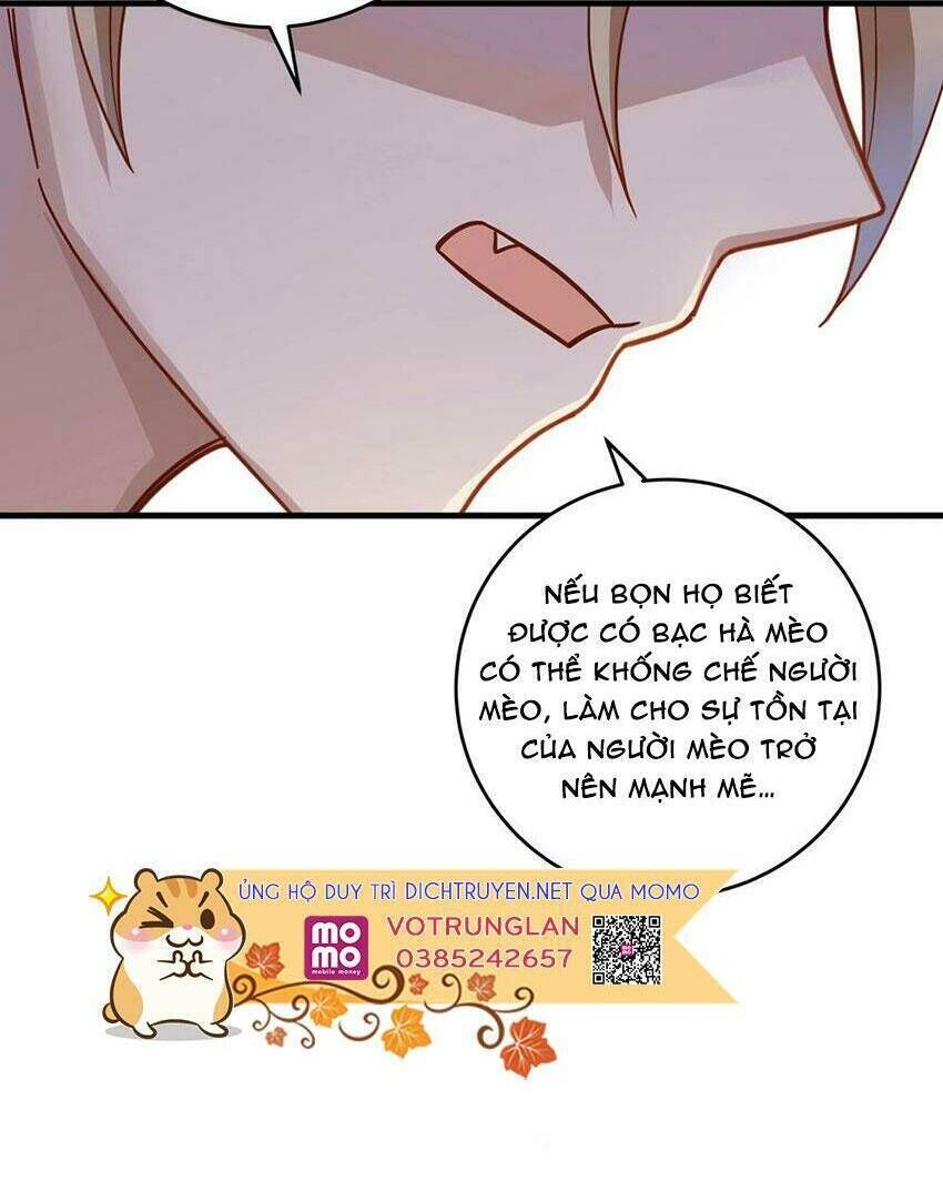 Em Là Bạc Hà Mèo Của Tôi Chapter 48 - Trang 2