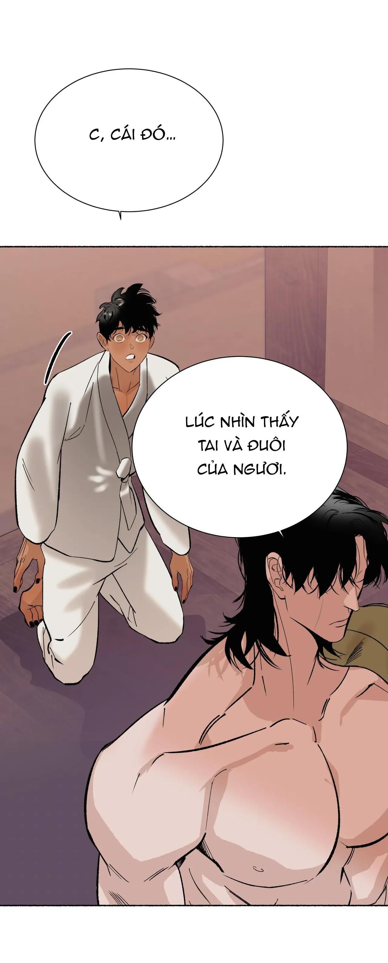 HỔ NGÀN NĂM Chapter 49 - Trang 2