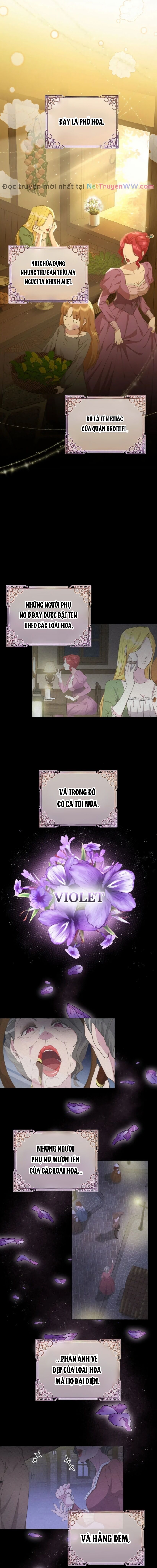 Đoá Violet nở rộ phía sau vườn Chapter 1 - Trang 1