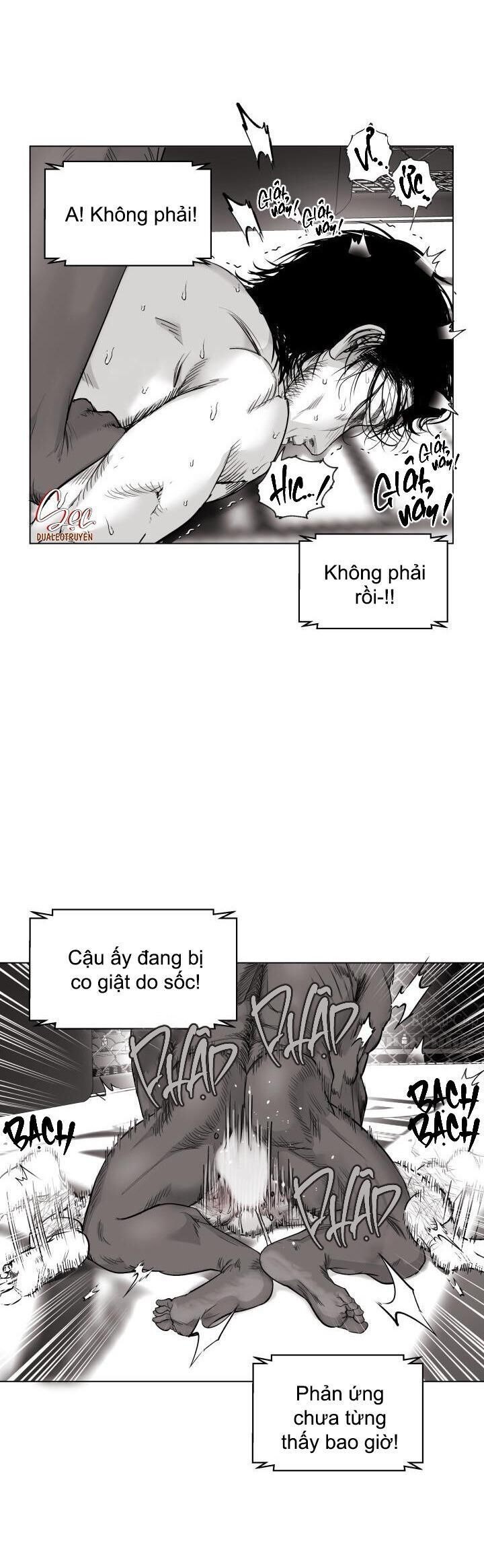 nhà vô địch ngoan cường Chapter 4 - Trang 2