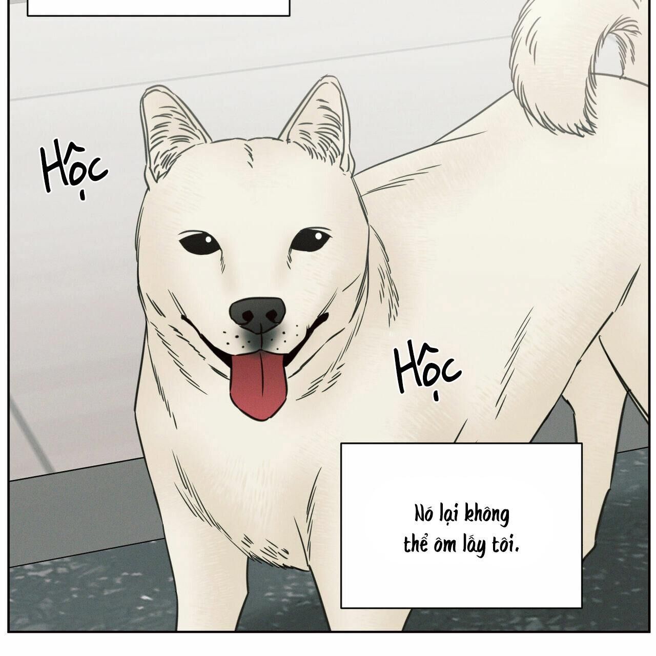 dù anh không yêu em Chapter 64 - Trang 2