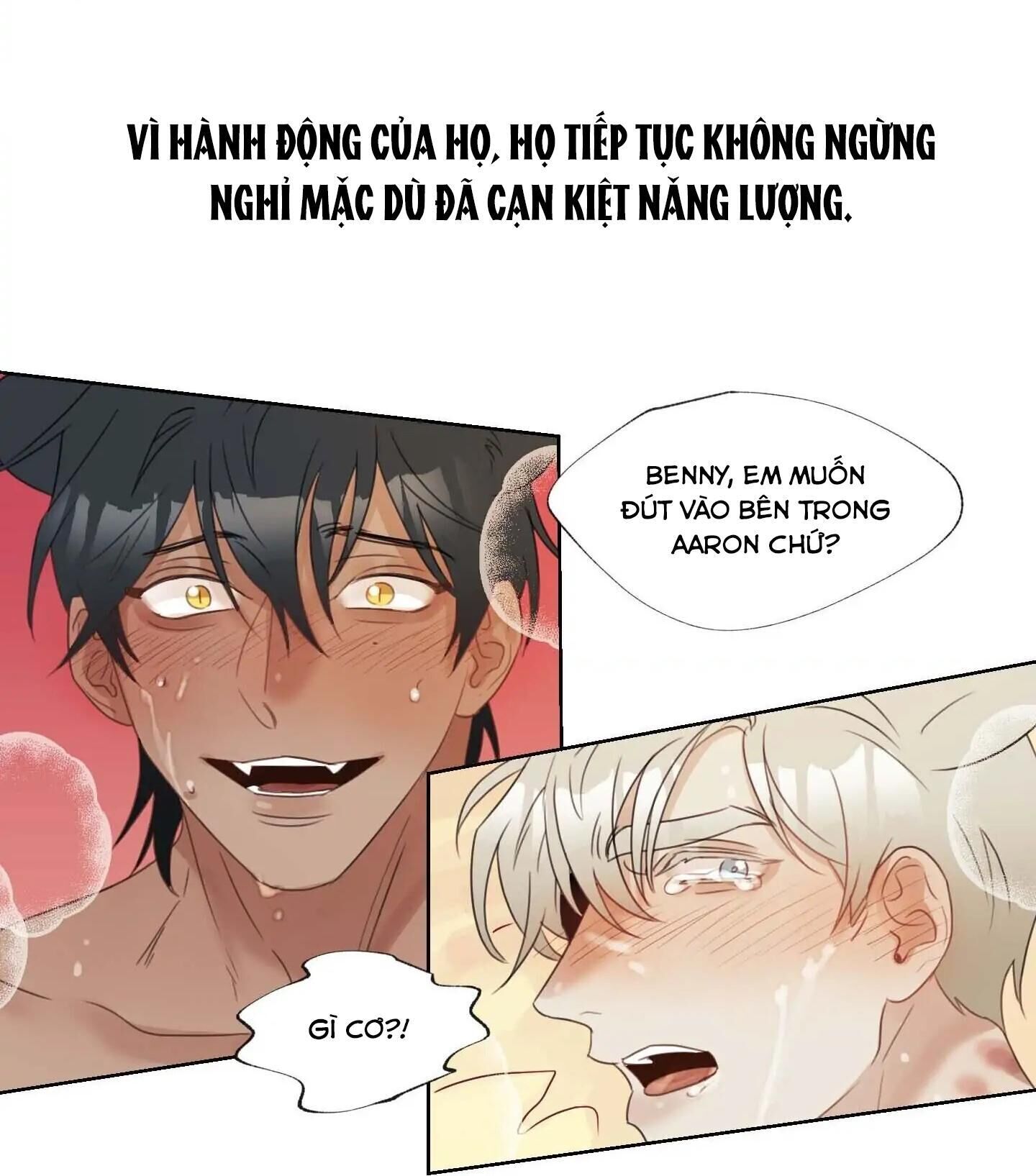 Tuyển Tập Manhwa 18+ Chapter 31 Sói và Mèo - Trang 2