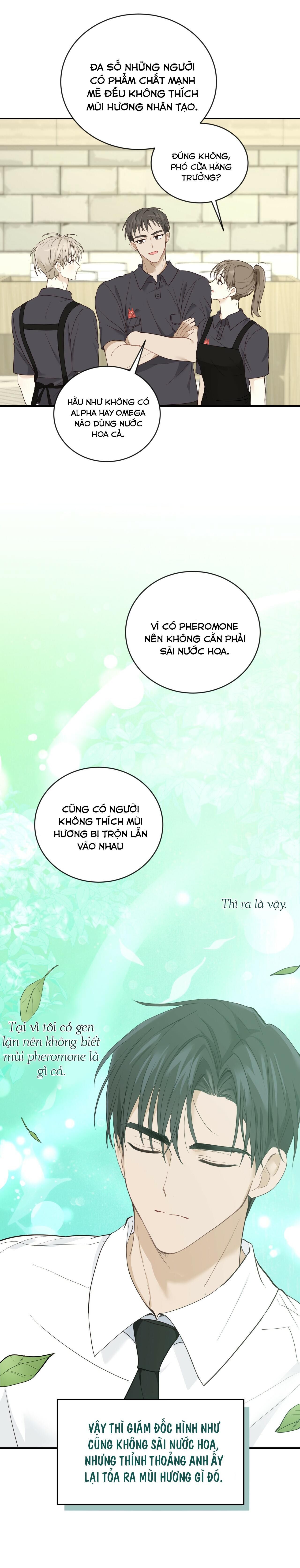 vị ngọt không đường (sweet not sugar) Chapter 9 - Trang 2