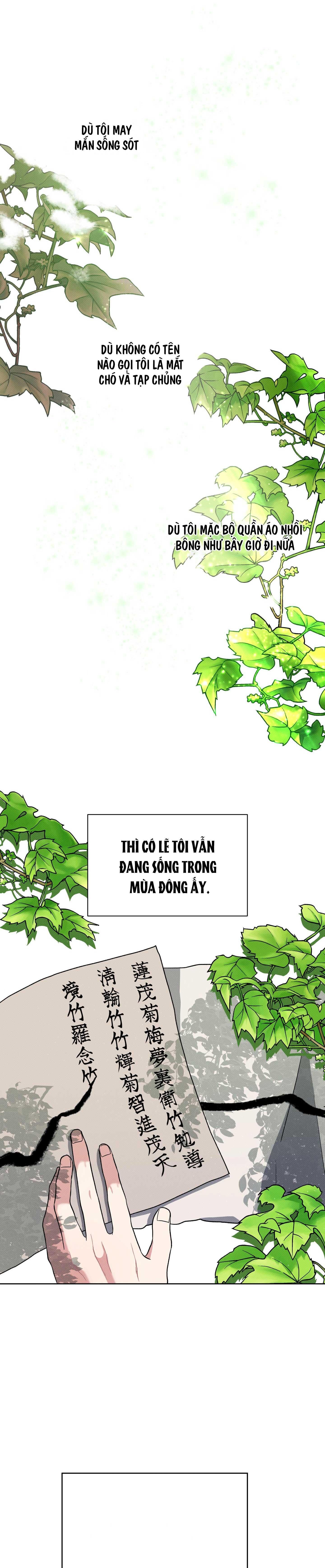 BL CỔ TRANG-ÂU CỔ NGẮN NHÀ KIM Chapter 29.2 ÁNH ĐÈN 2 - Trang 1