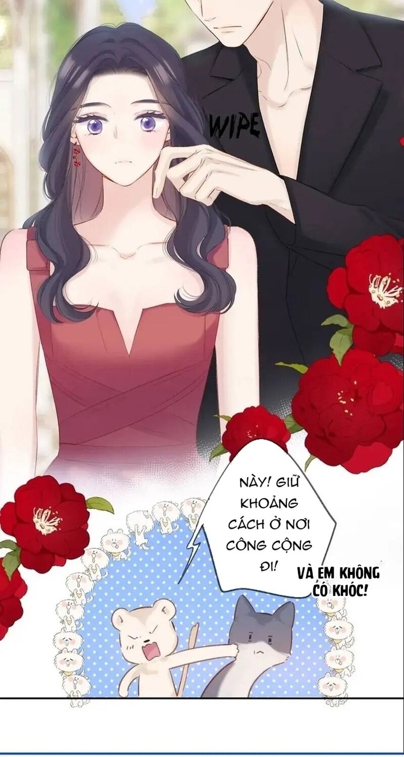 bảo vệ siêu sao của tôi Chapter 141 - Trang 2