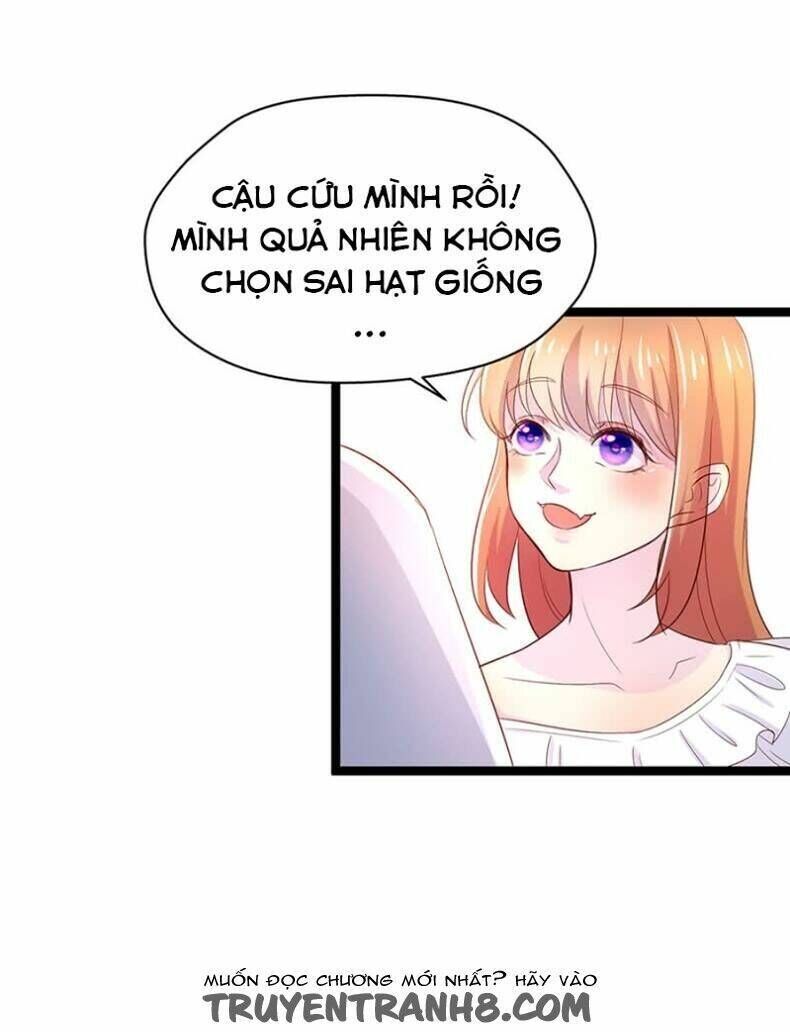 Lãnh Tình Boss Xin Buông Tay Em Chapter 12 - Trang 2