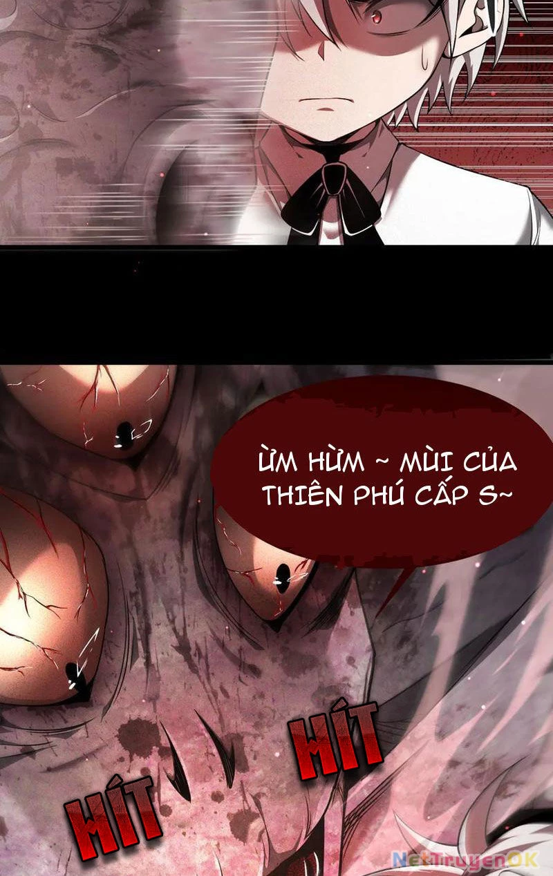 Cái Bóng Phản Bội Của Gia Tộc Chapter 10 - Trang 1