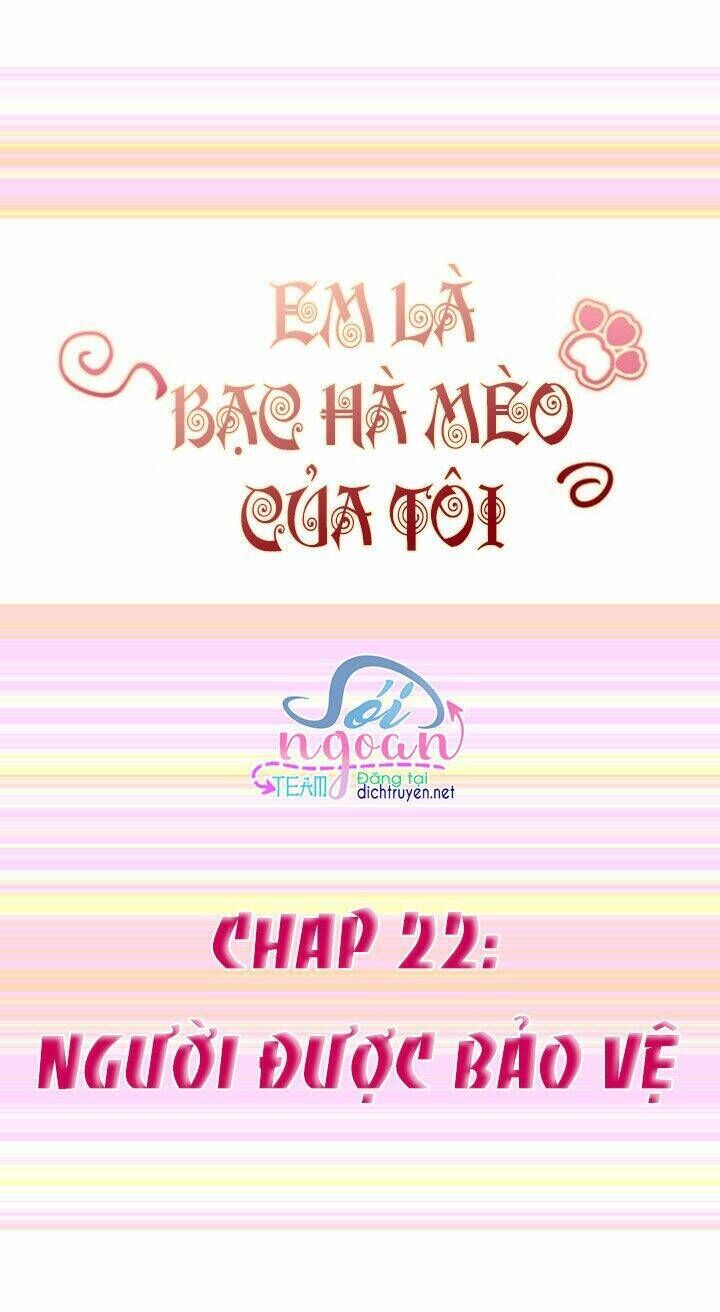 Em Là Bạc Hà Mèo Của Tôi Chapter 22 - Trang 2