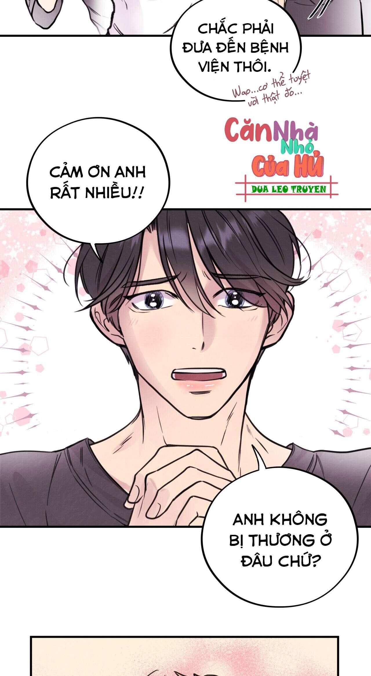 mật gấu Chapter 1 - Next Chương 2