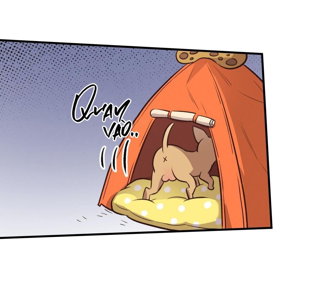 honey bear Chapter 26 - Trang 1