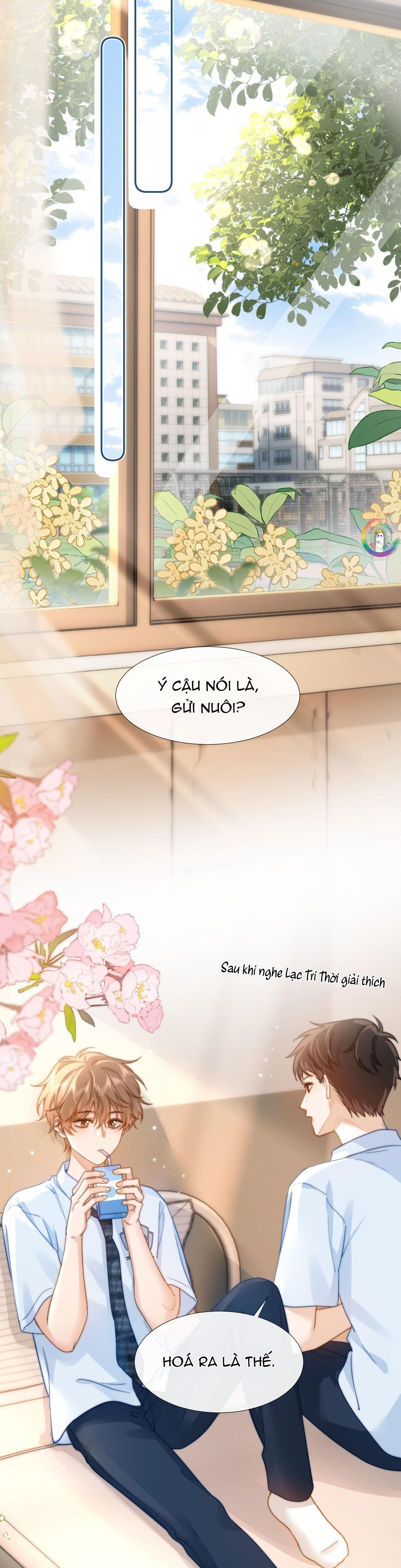 chất dị ứng cực cute Chapter 5 - Next Chương 6