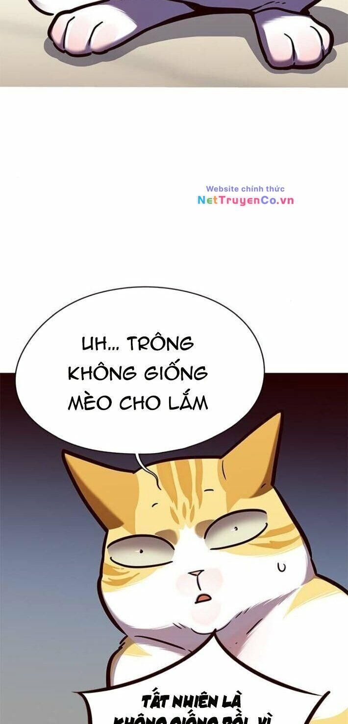 hoá thân thành mèo chapter 141 - Trang 2