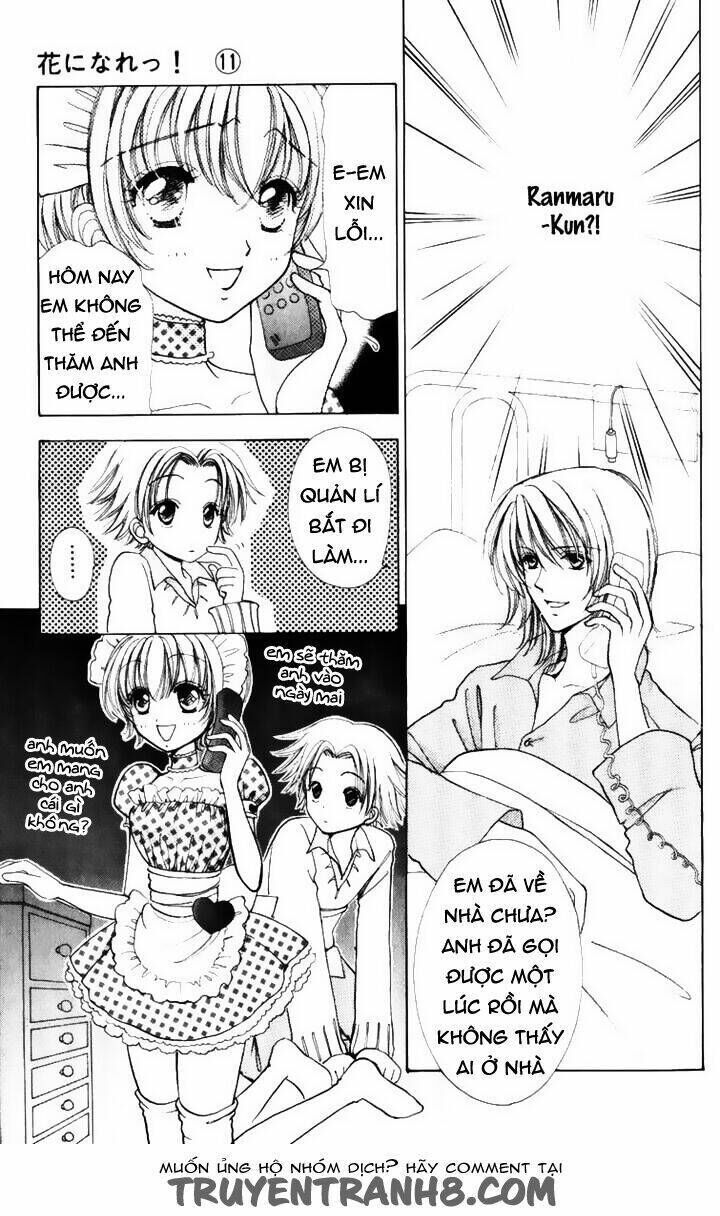 Hana Ni Nare Chapter 69 - Trang 2