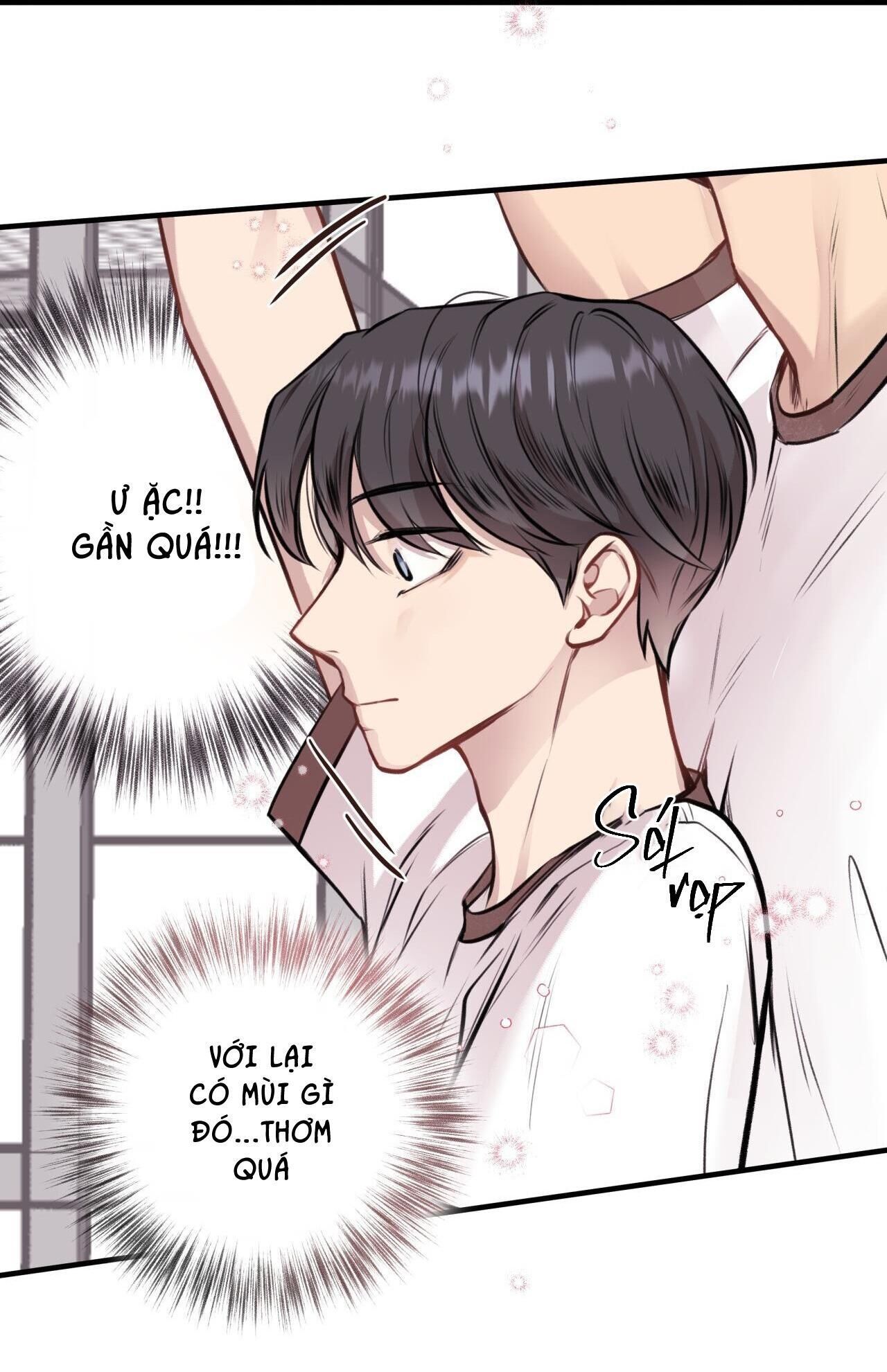 honey bear Chapter 6 - Trang 1