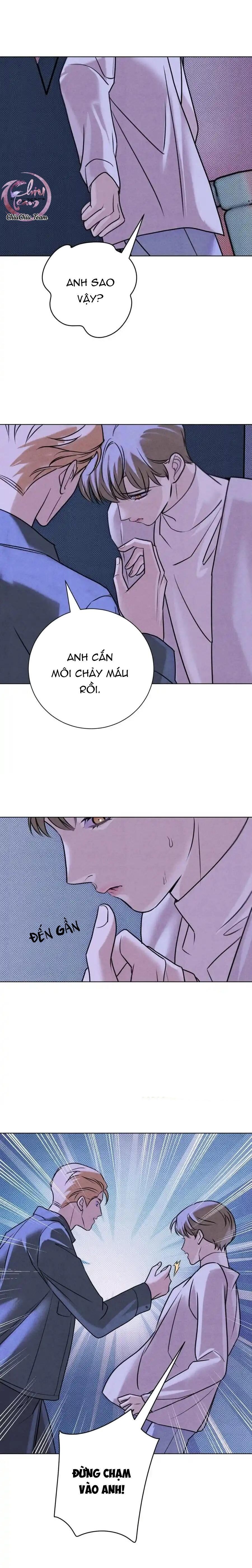 anh trai rẻ tiền của tôi Chapter 44 - Next Chapter 45