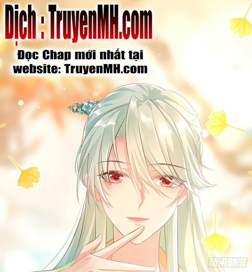 kiều mỵ phu lang, tại tuyến lục trà chapter 6 - Next chapter 7