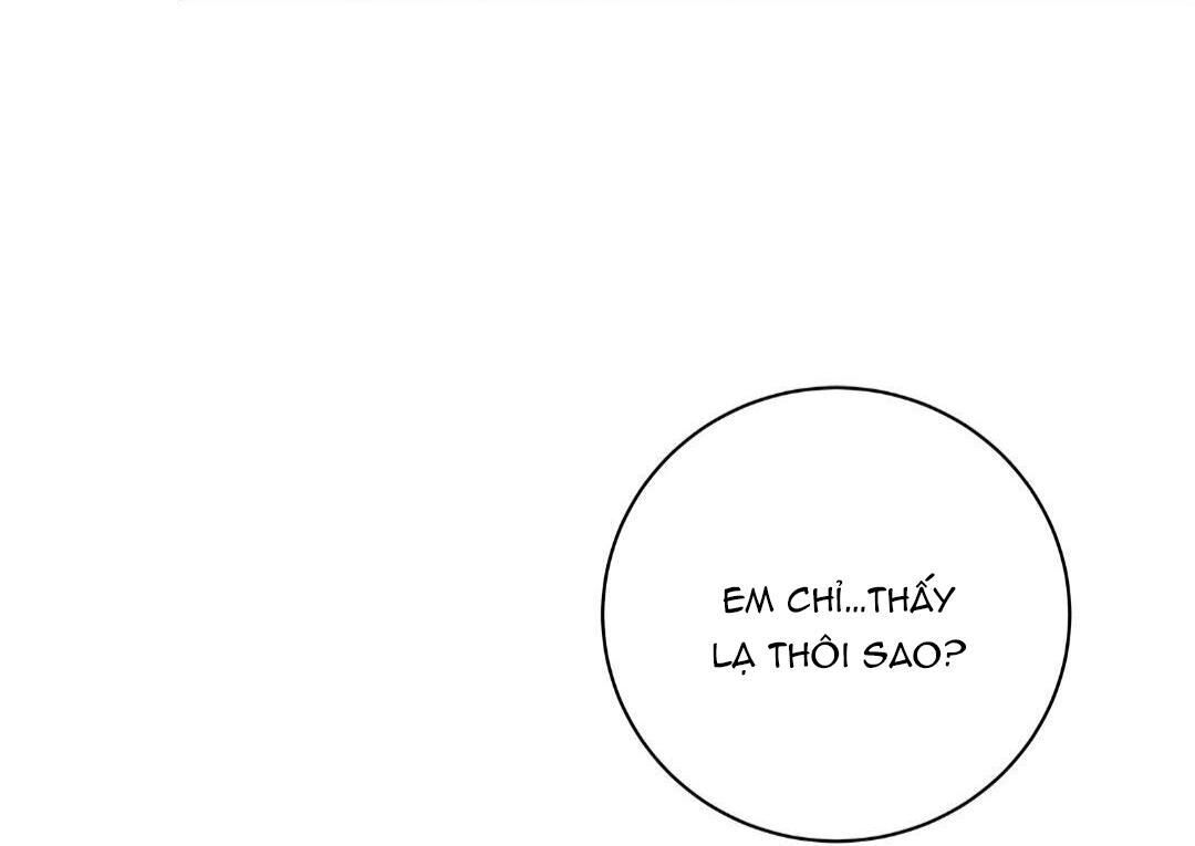 hạnh phúc trọn vẹn Chapter 23 - Next 24