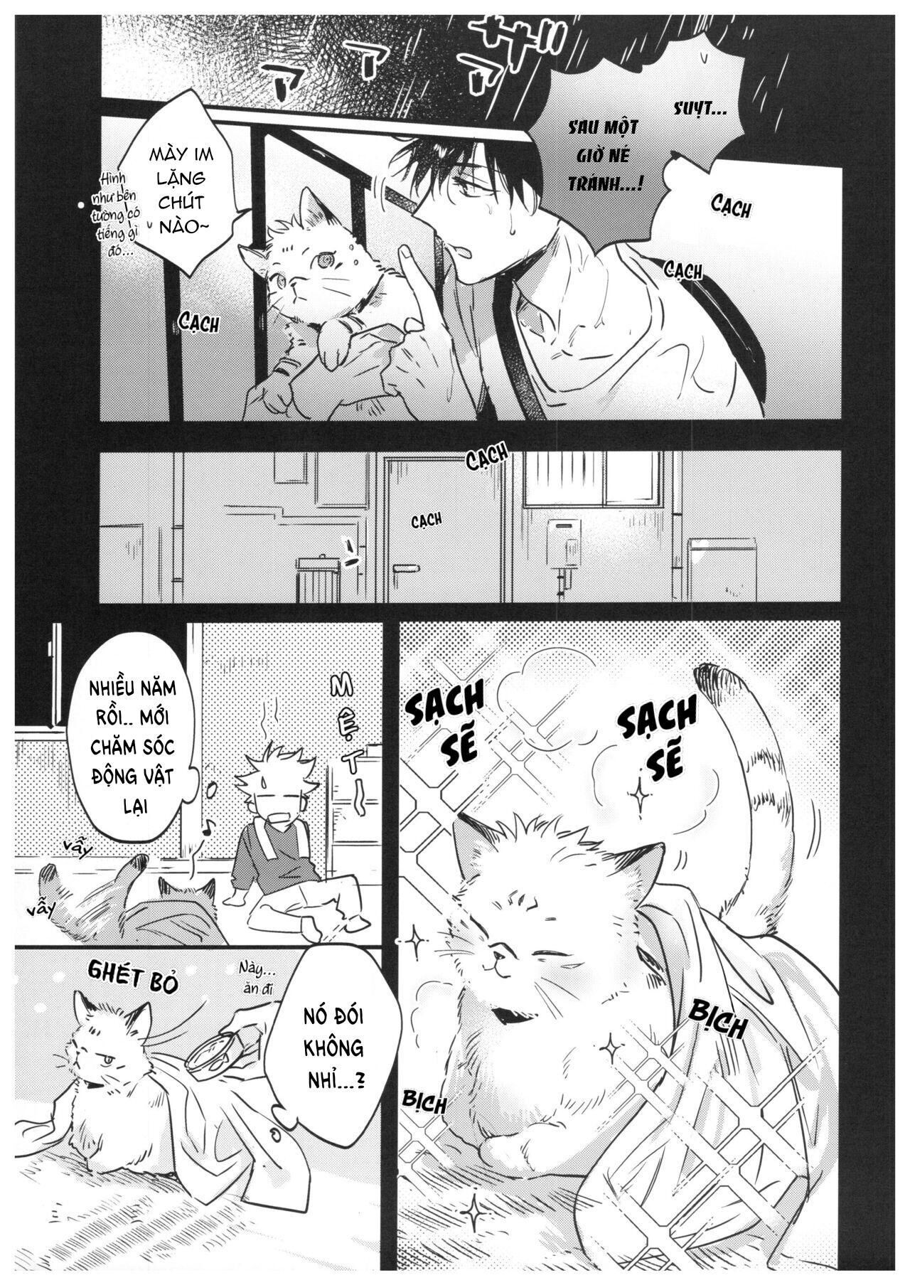 doujinshi tổng hợp Chapter 15.1 Megumi x Sukuna - Next 15.1